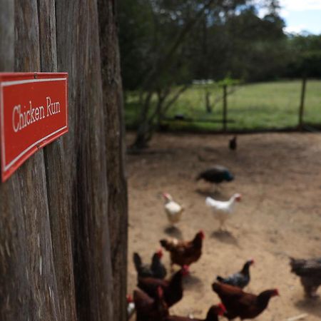Blackwattle Farm Beerwah Eksteriør bilde