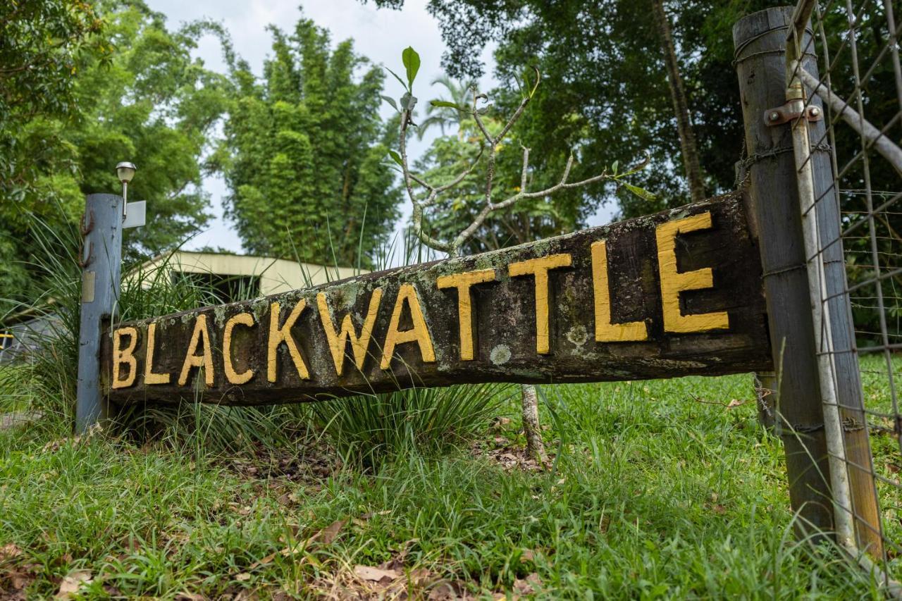Blackwattle Farm Beerwah Eksteriør bilde