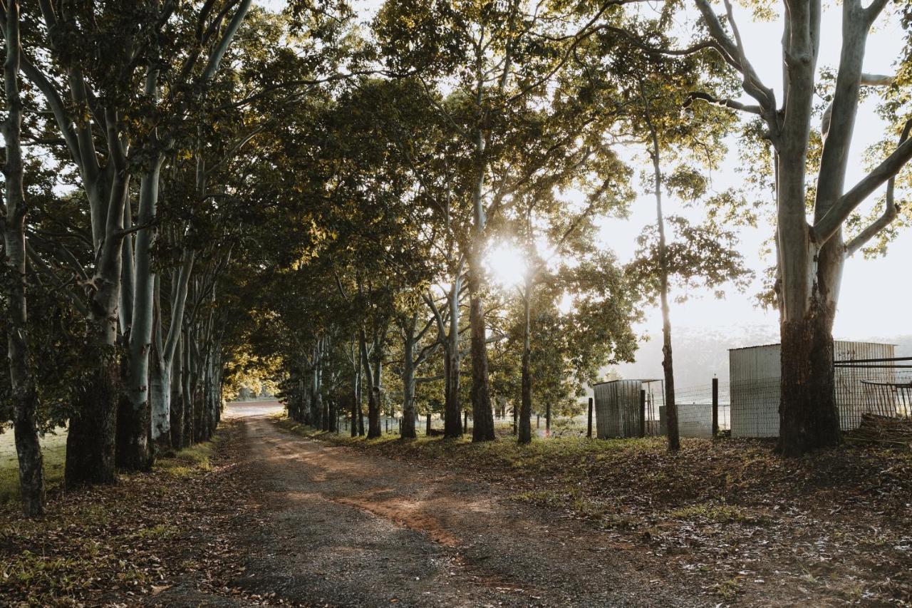Blackwattle Farm Beerwah Eksteriør bilde