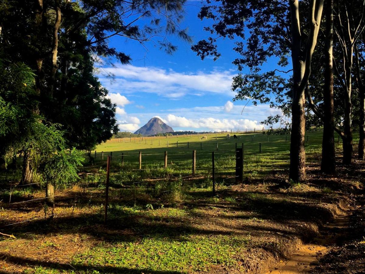 Blackwattle Farm Beerwah Rom bilde