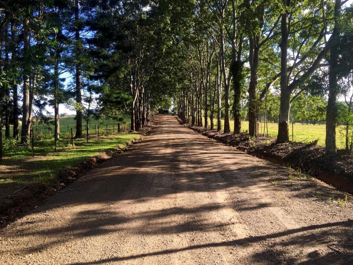 Blackwattle Farm Beerwah Rom bilde