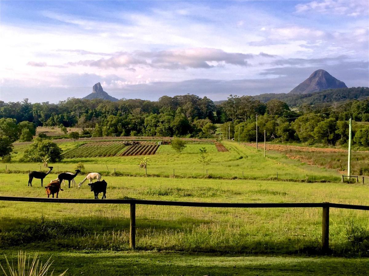 Blackwattle Farm Beerwah Rom bilde