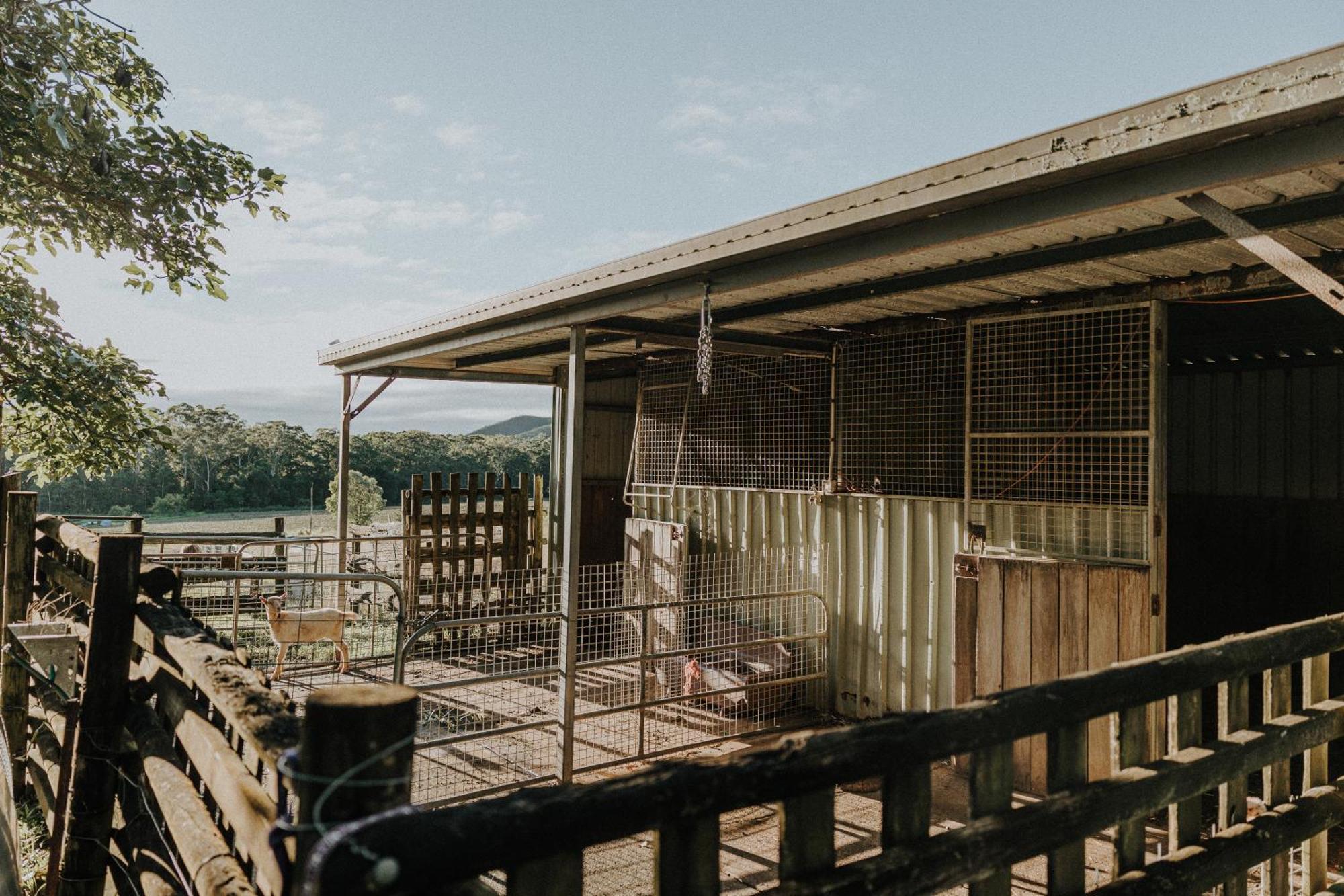 Blackwattle Farm Beerwah Eksteriør bilde