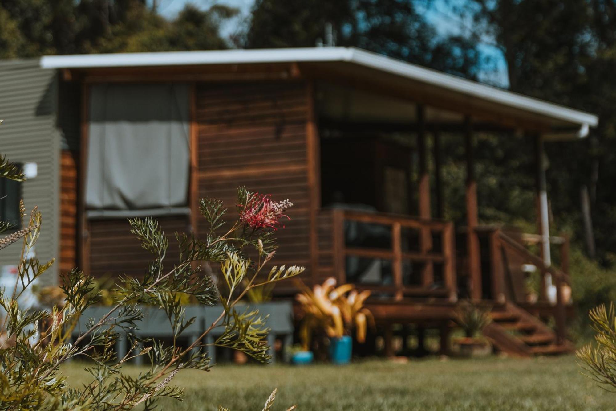 Blackwattle Farm Beerwah Eksteriør bilde