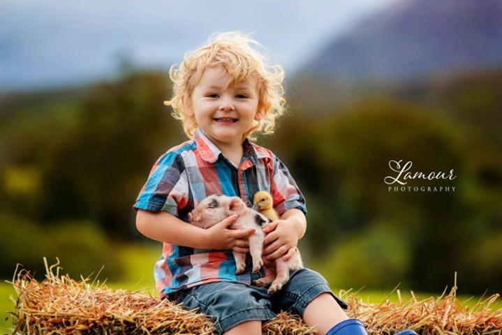 Blackwattle Farm Beerwah Eksteriør bilde